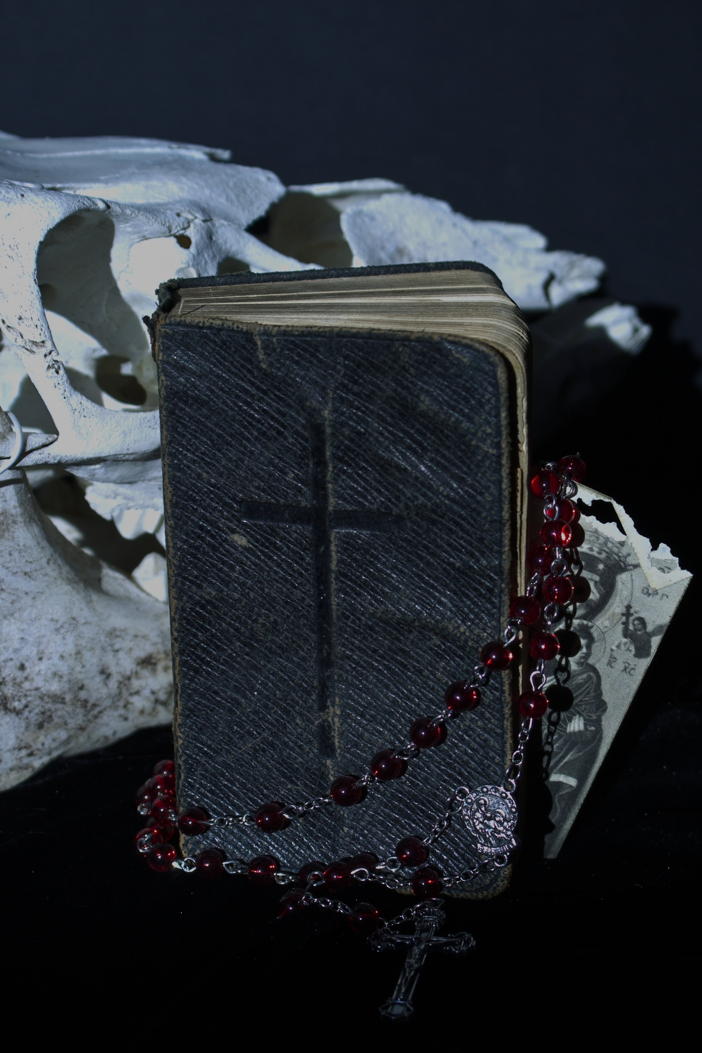 All Products – Memento Mori Oddities